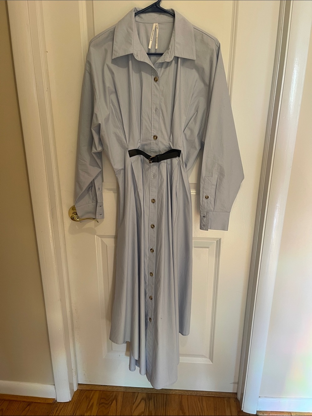 Anthropologie Pleated Buckle Midi Dress